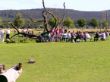 Wiesenfest