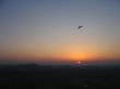 Flieger