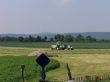 Silage Ernte 2008